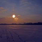 Spuren im Schnee