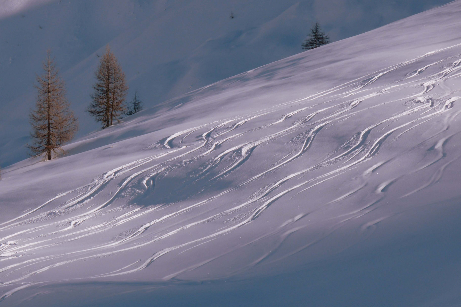 Spuren im Schnee