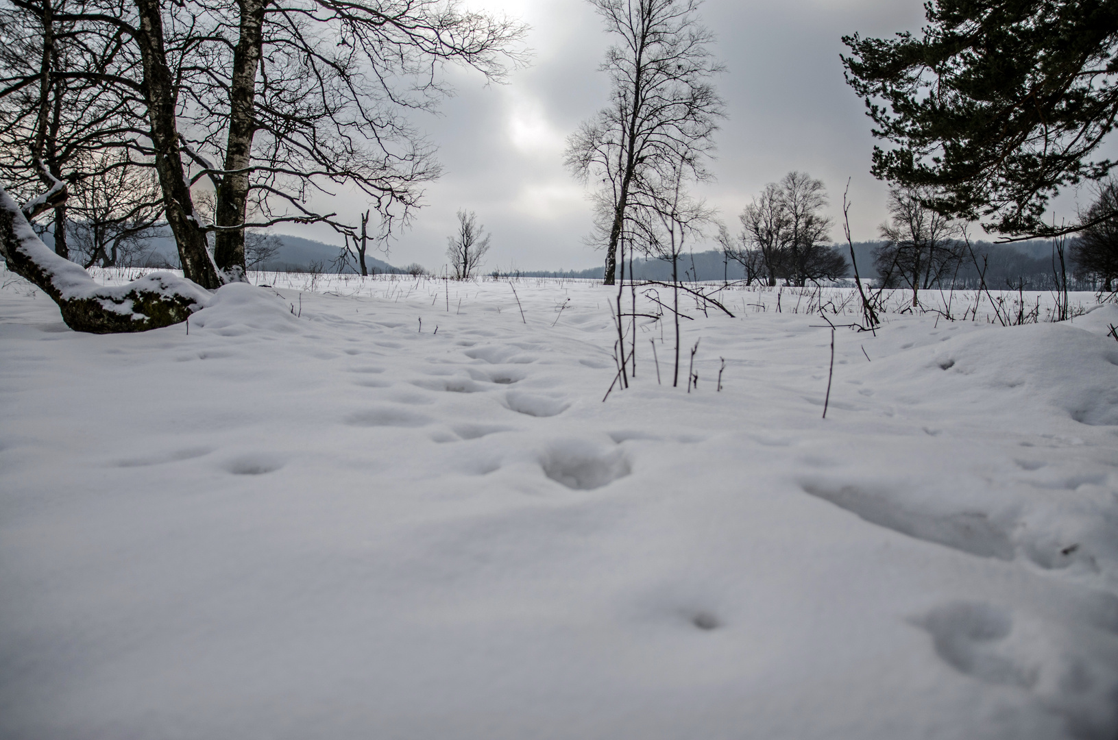 Spuren im Schnee Foto & Bild | landschaft, jahreszeiten ...