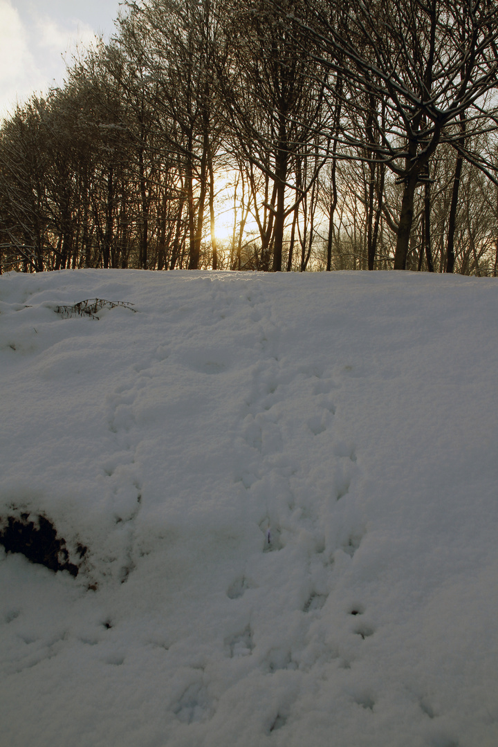 Spuren im Schnee