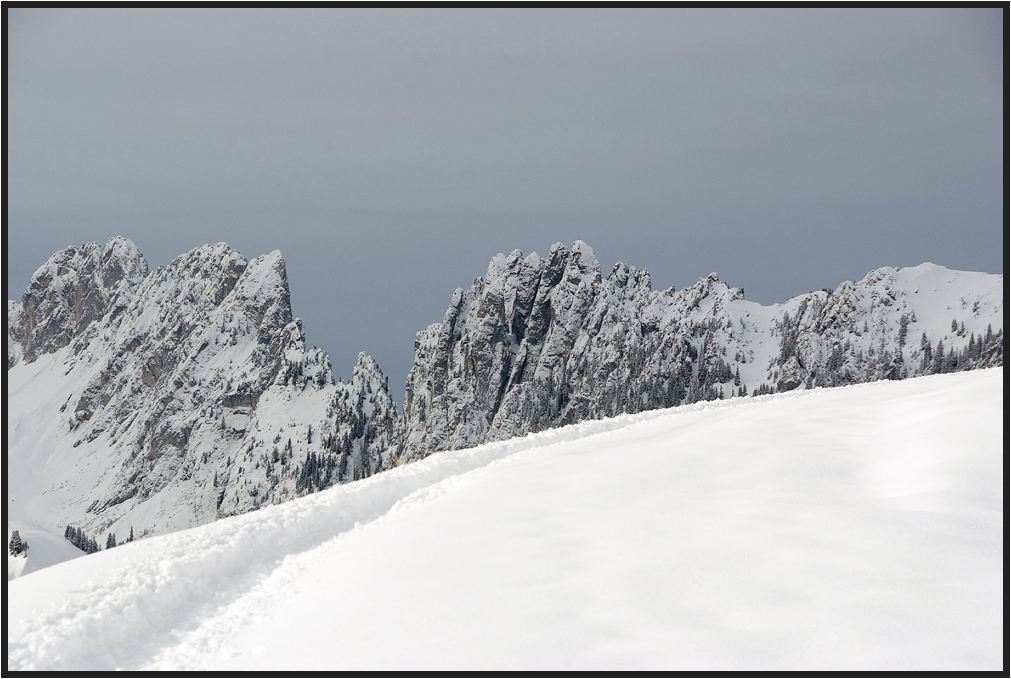 SPUREN IM SCHNEE