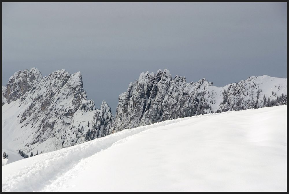 SPUREN IM SCHNEE