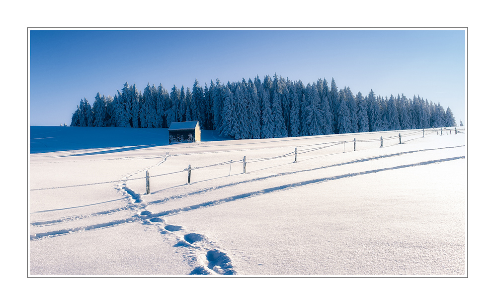 Spuren im Schnee