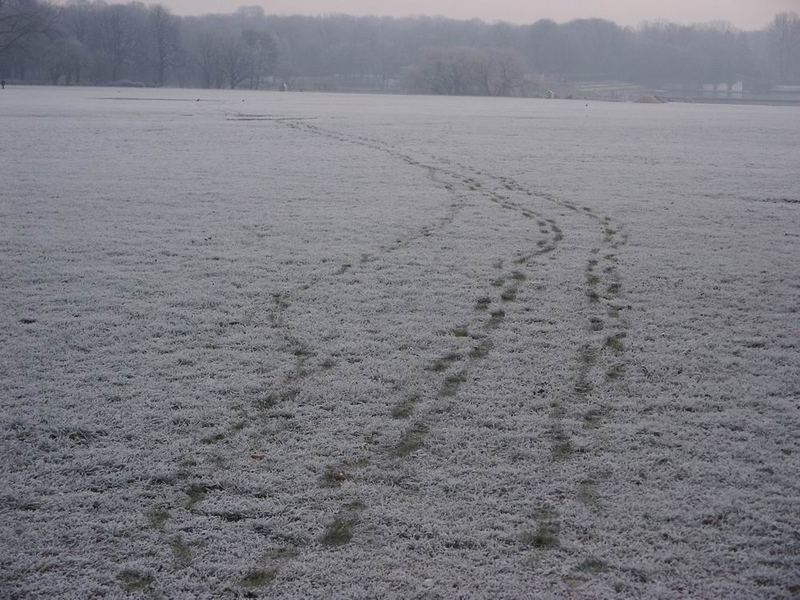 Spuren im Schnee