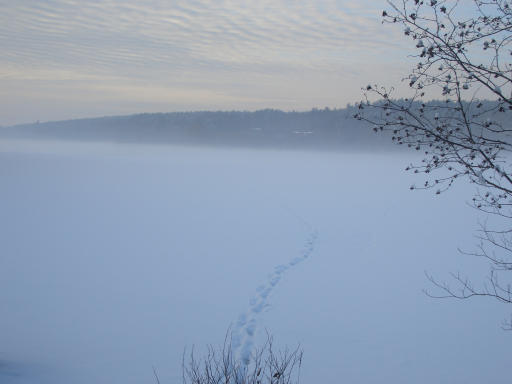 Spuren im Schnee