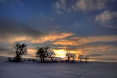 Spuren im Schnee