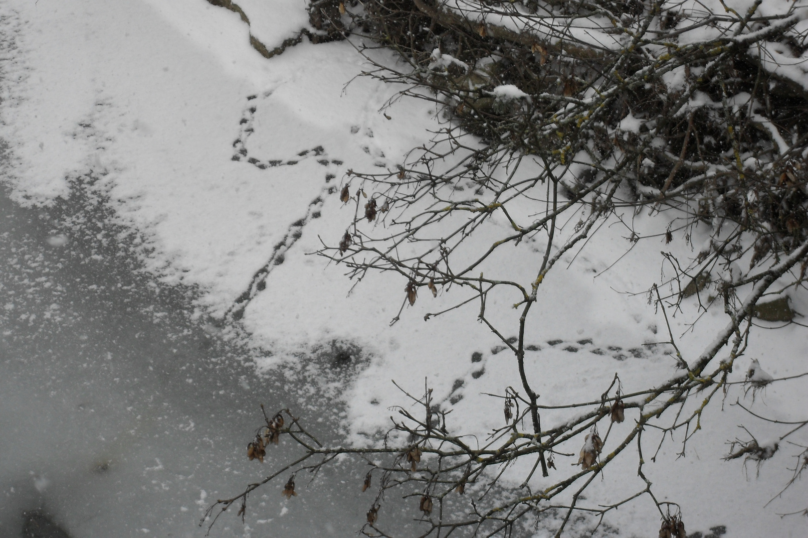 Spuren im Schnee