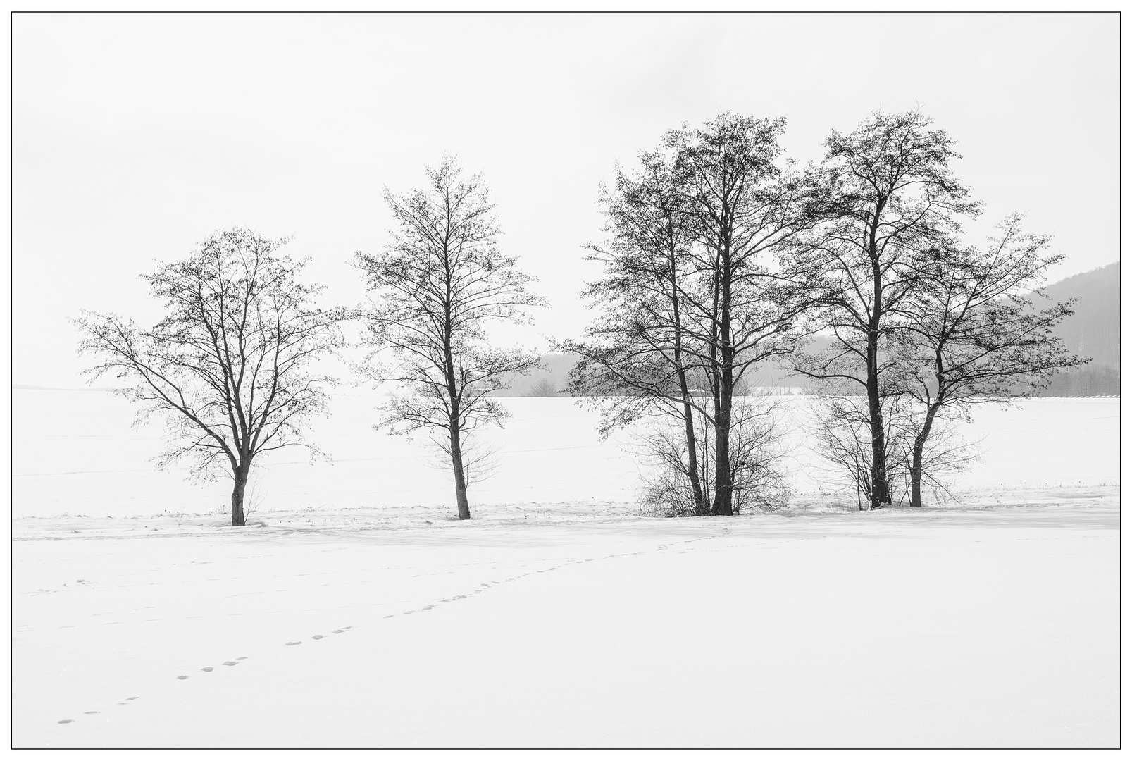 Spuren im Schnee