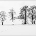 Spuren im Schnee