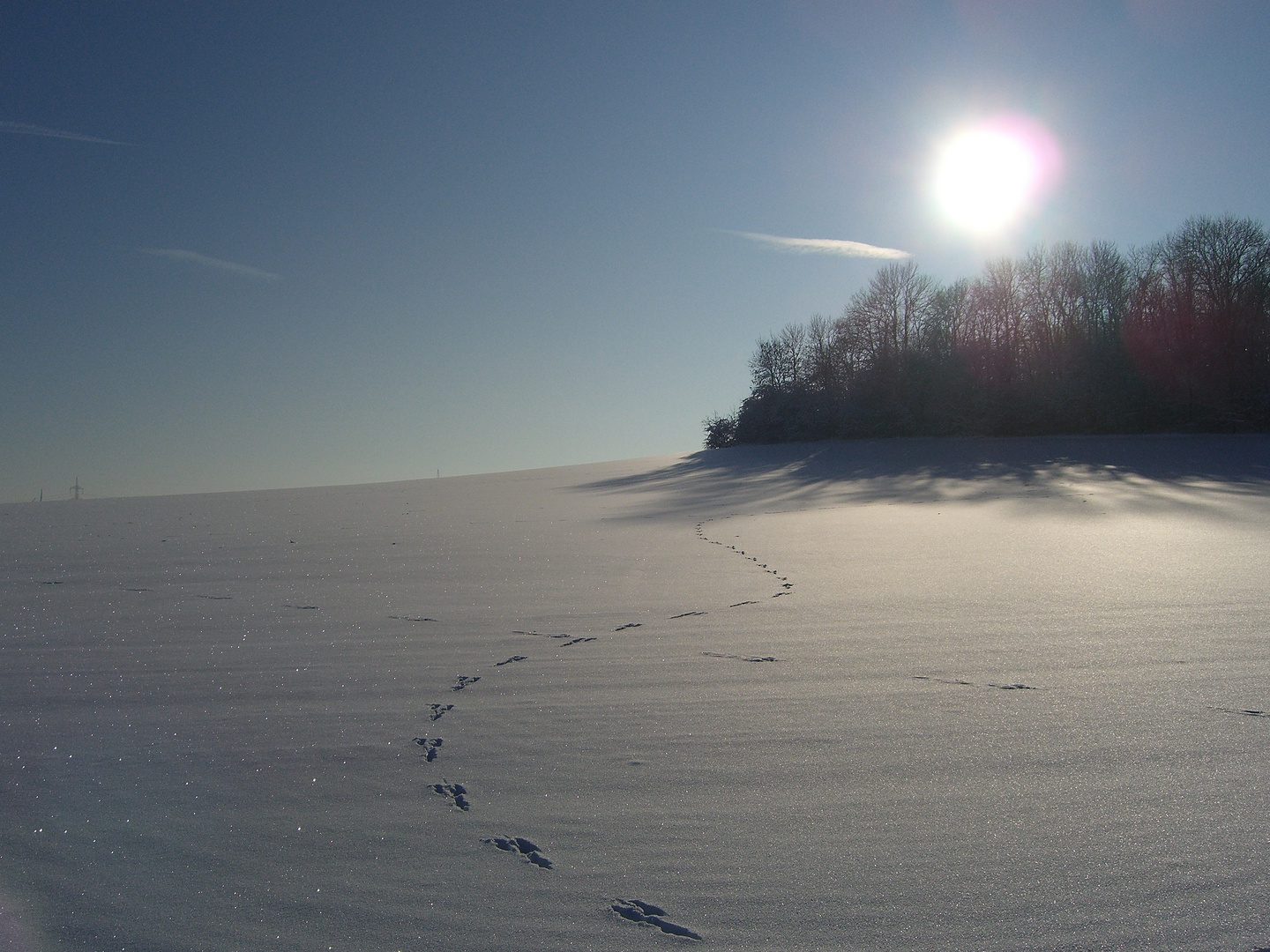 Spuren im Schnee