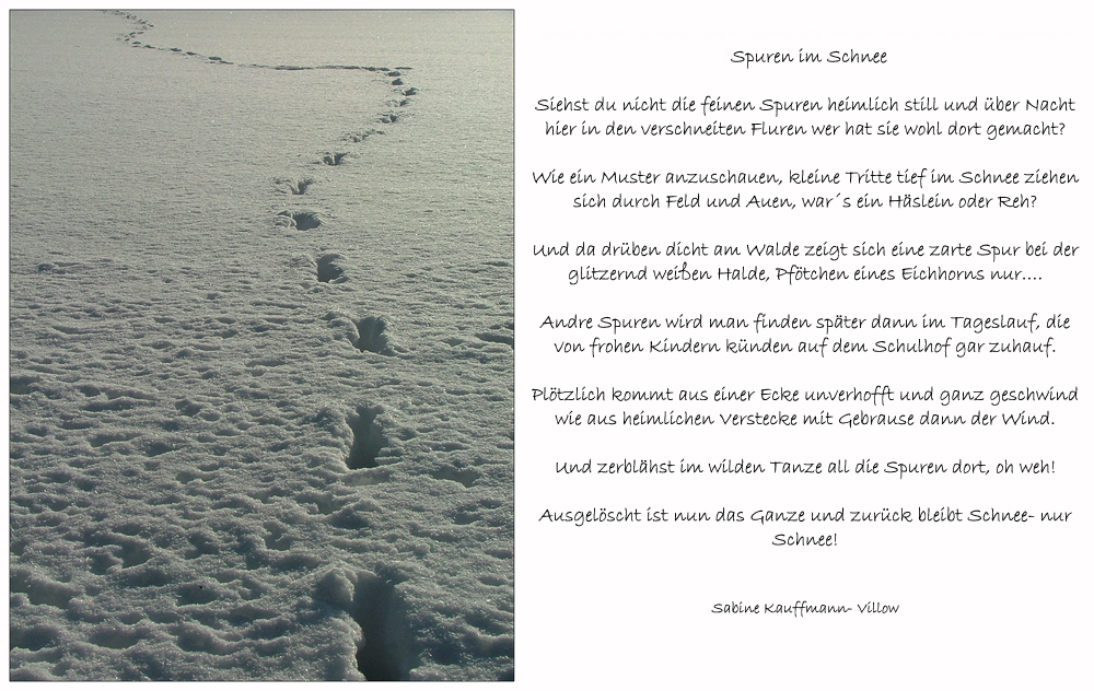 Spuren im Schnee