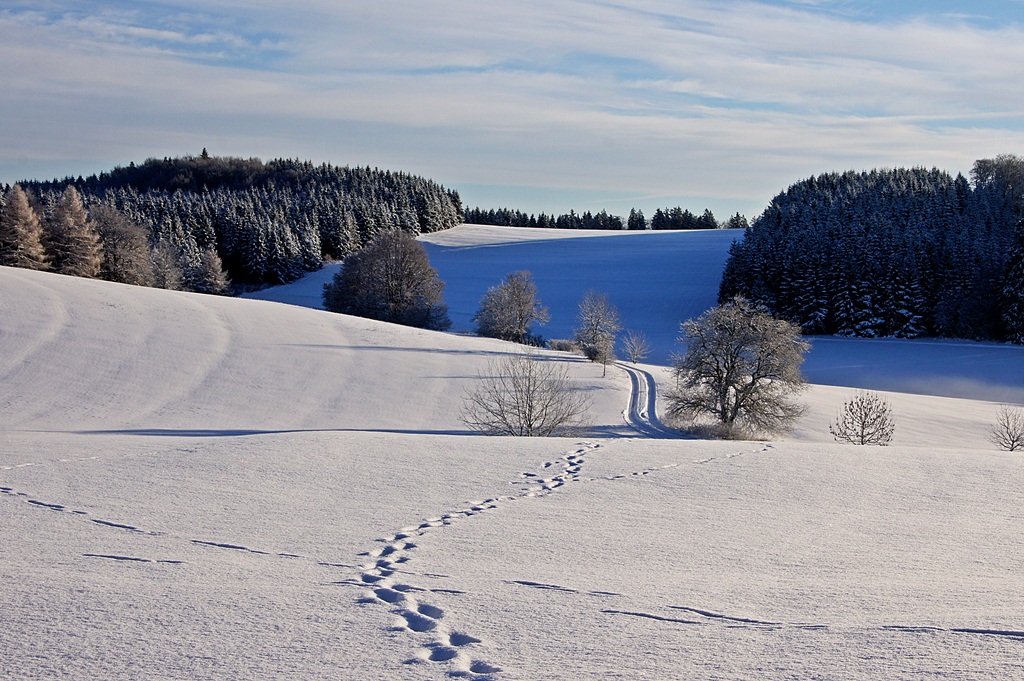 Spuren Im Schnee Foto Bild Jahreszeiten Winter Natur Bilder Auf Fotocommunity