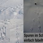 Spuren im Schnee