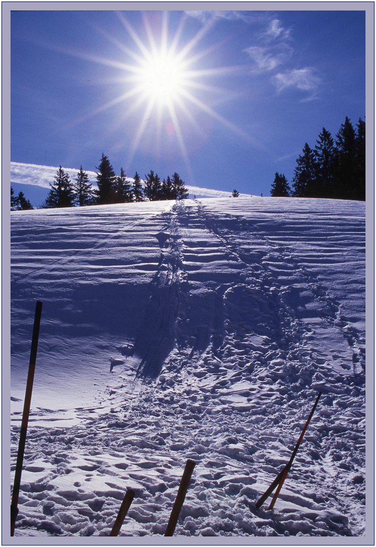 Spuren im Schnee