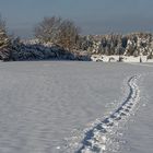 Spuren im Schnee