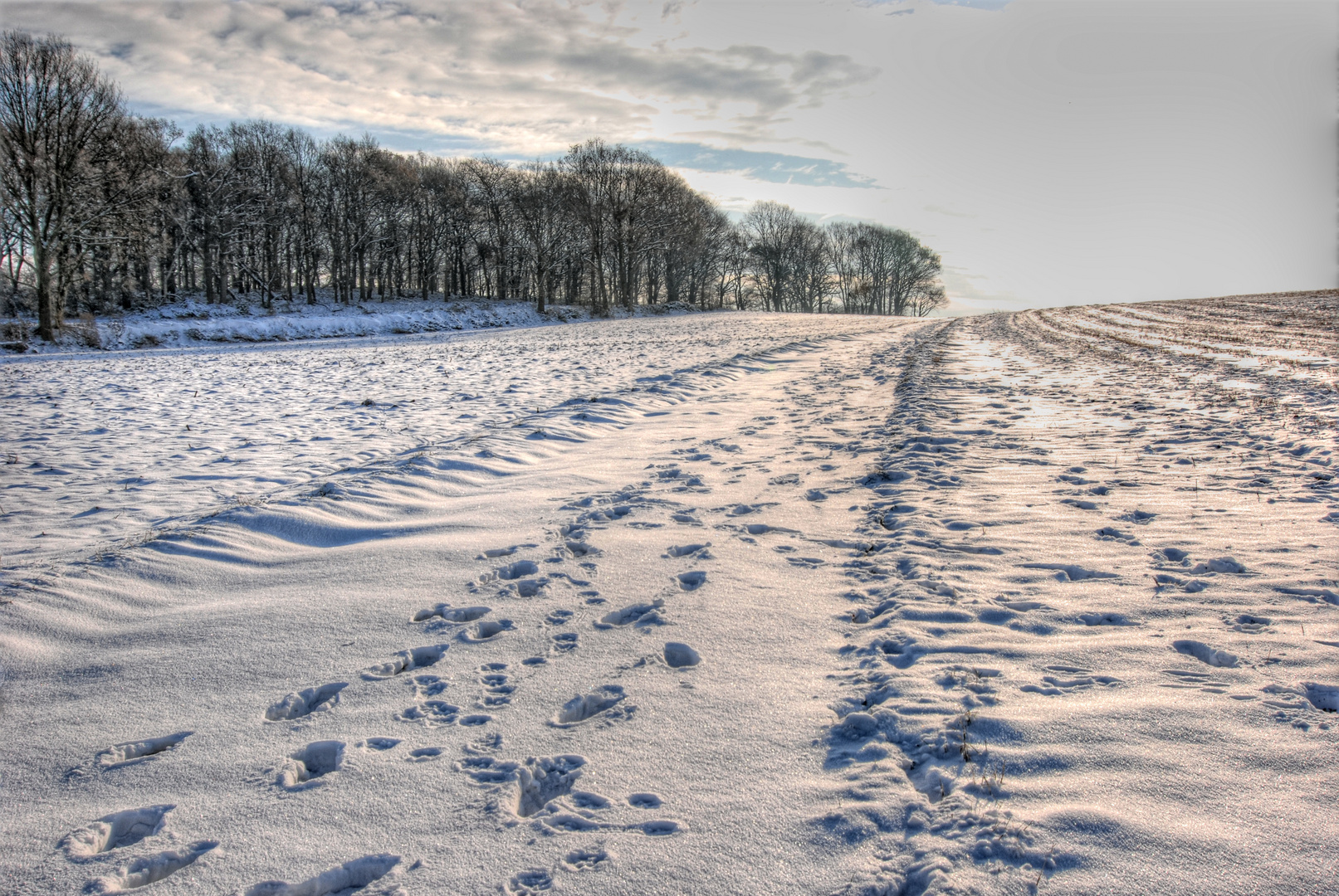 Spuren im Schnee