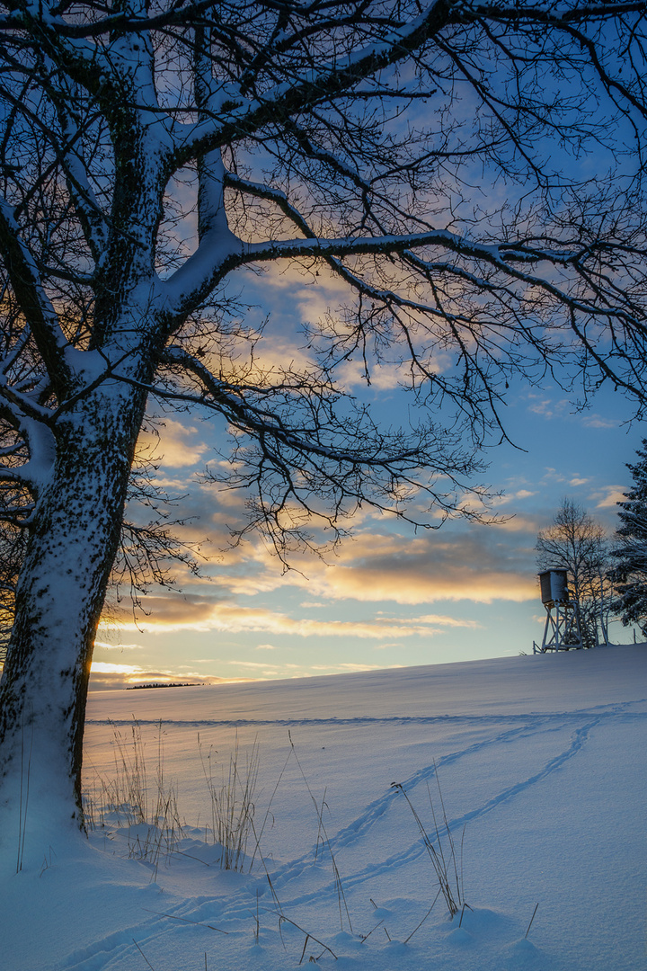 Spuren im Schnee