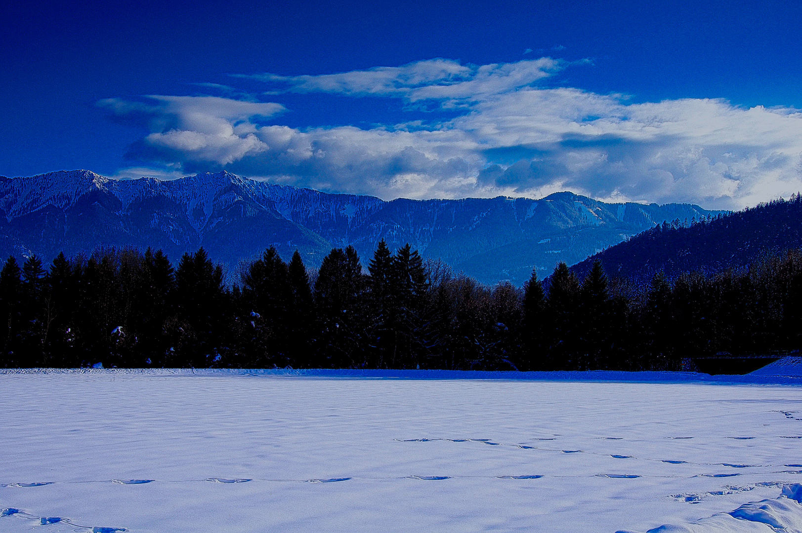 Spuren im Schnee.