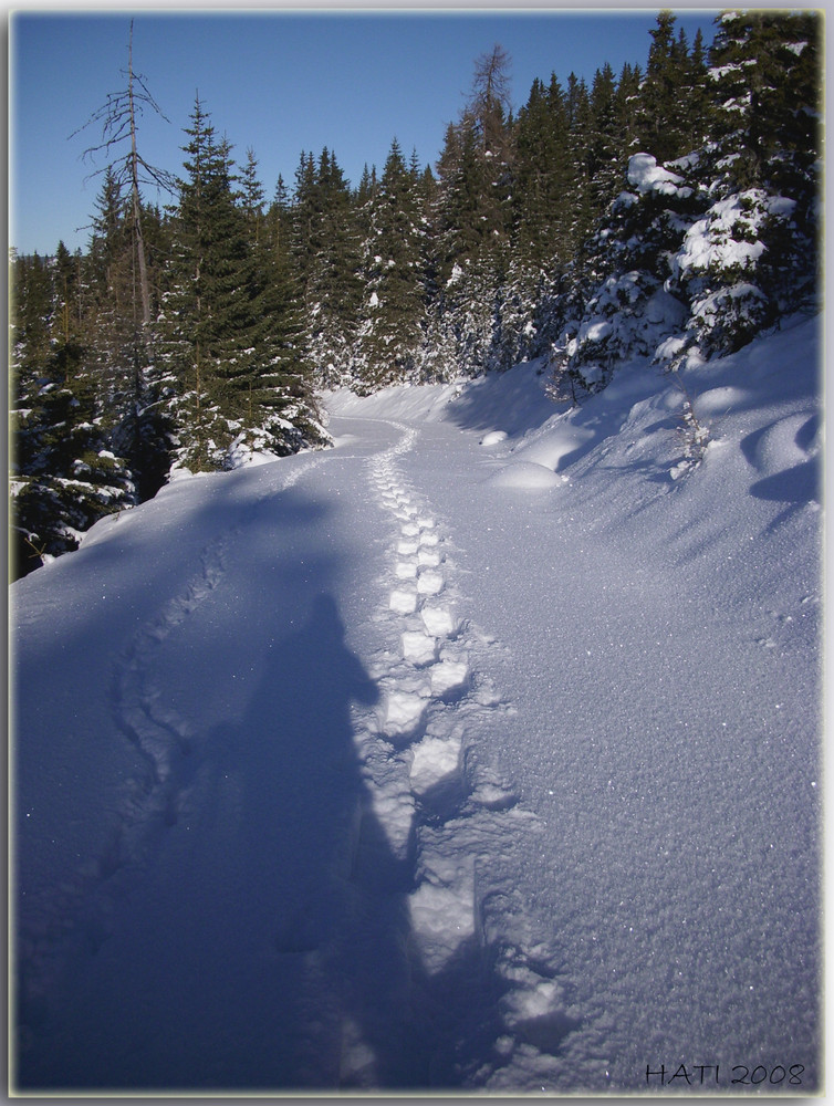 Spuren im Schnee