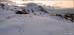 Spuren im Schnee