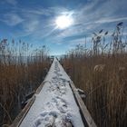 Spuren im Schnee