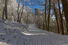 Spuren im Schnee