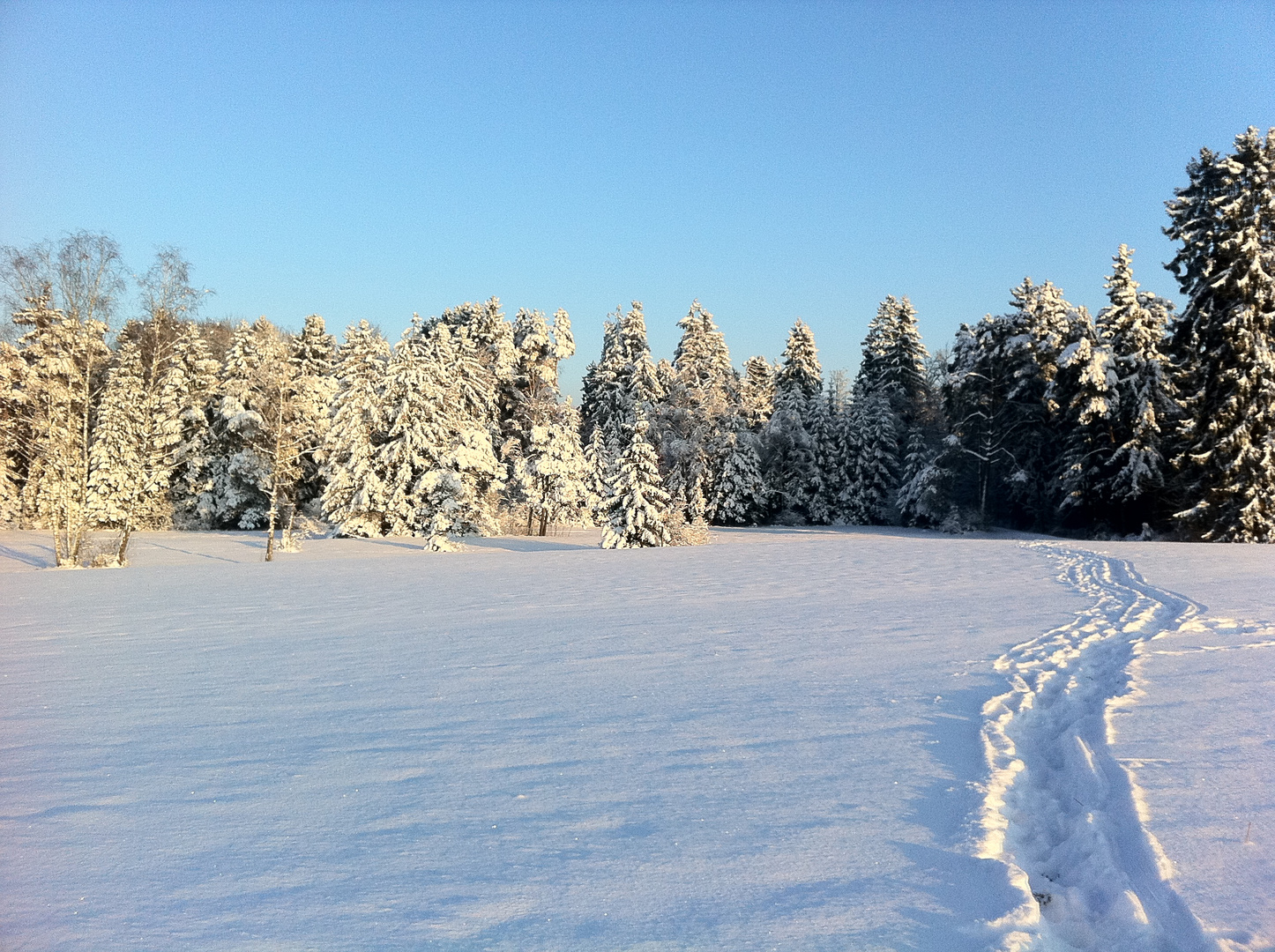 Spuren im Schnee