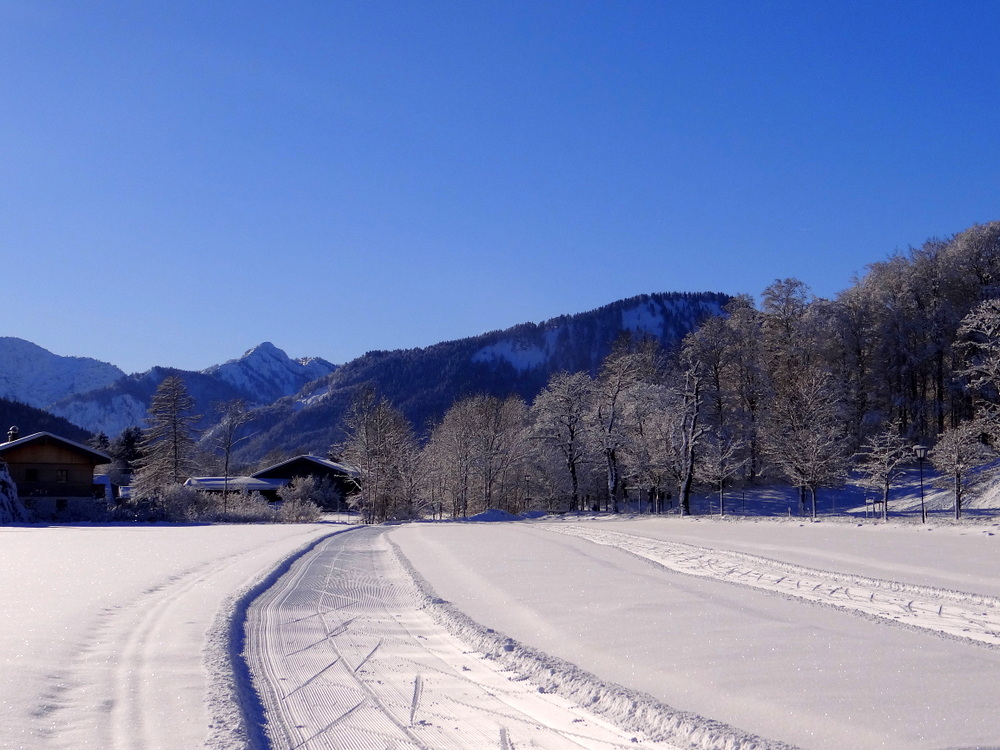 Spuren im Schnee