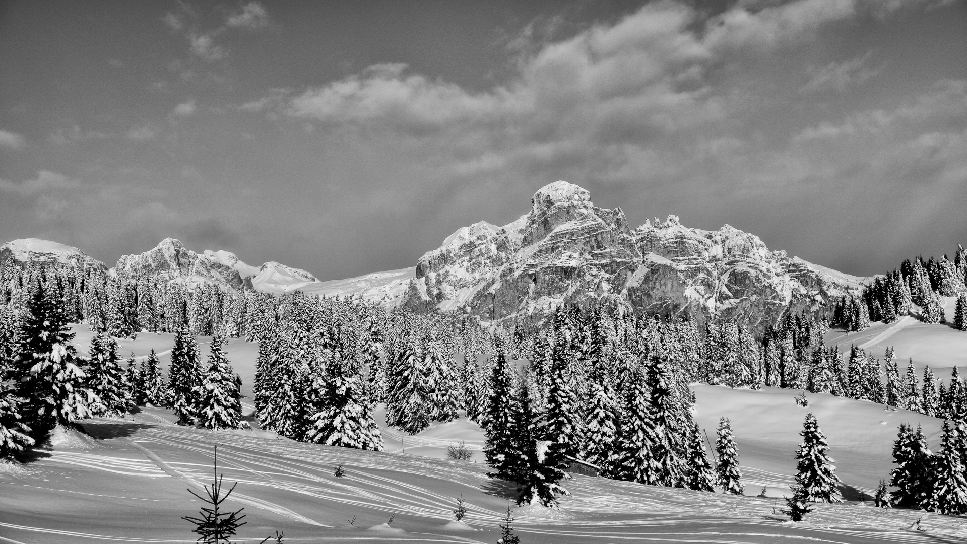 Spuren im Schnee