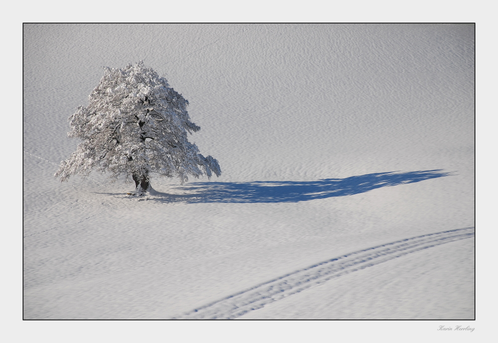 Spuren im Schnee