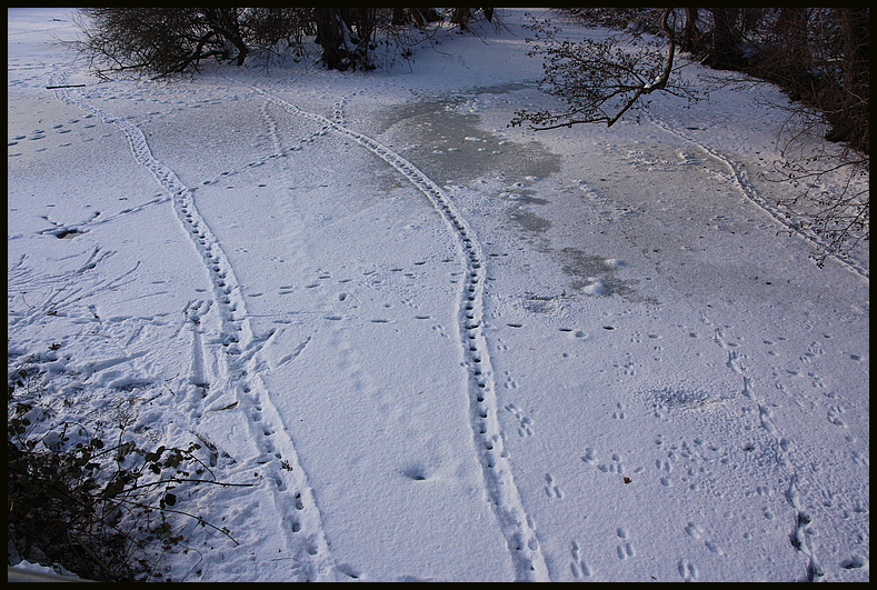 Spuren im Schnee