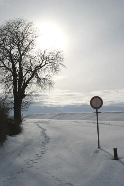 Spuren im Schnee ...