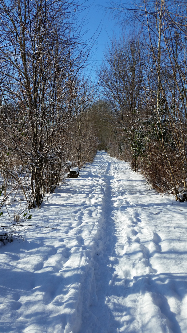 Spuren im Schnee