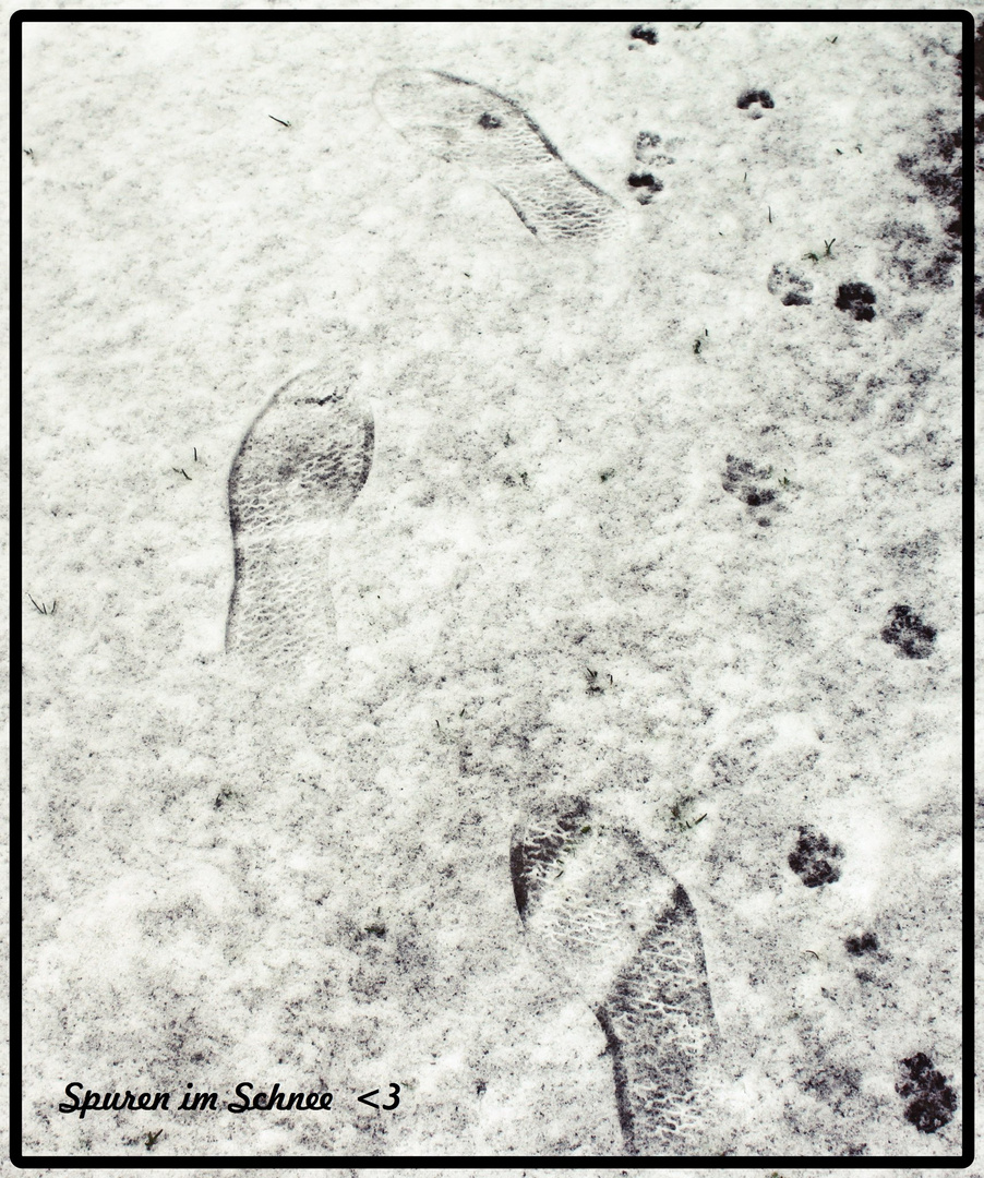 Spuren im Schnee ;)
