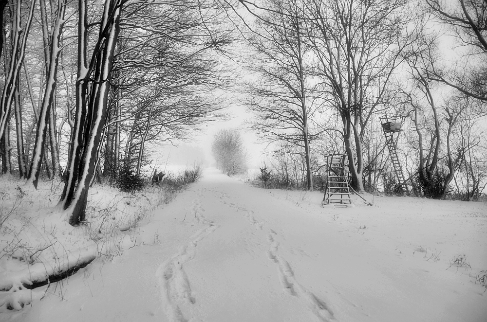 Spuren im Schnee