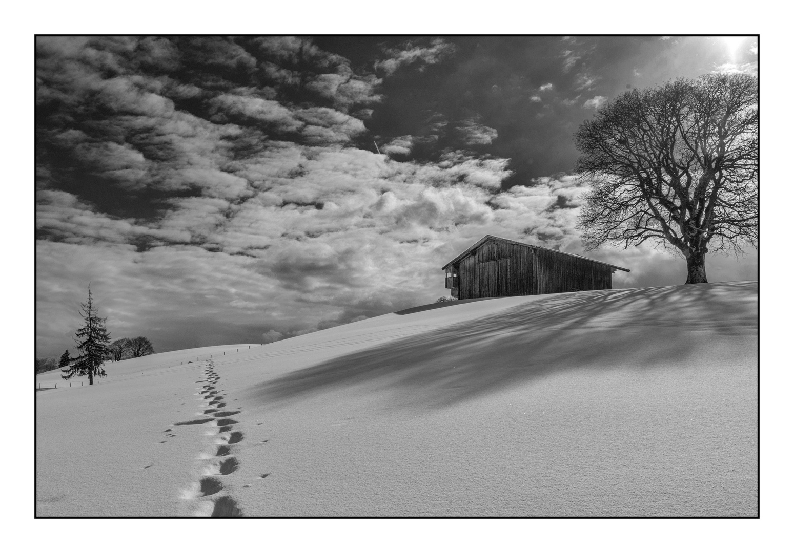 Spuren im Schnee