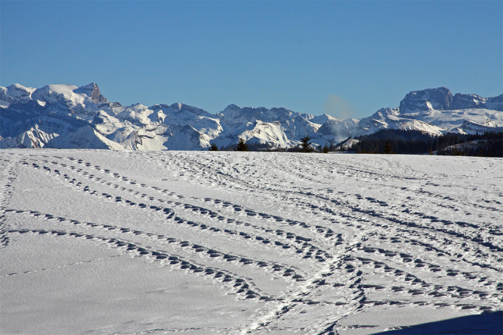 Spuren im Schnee