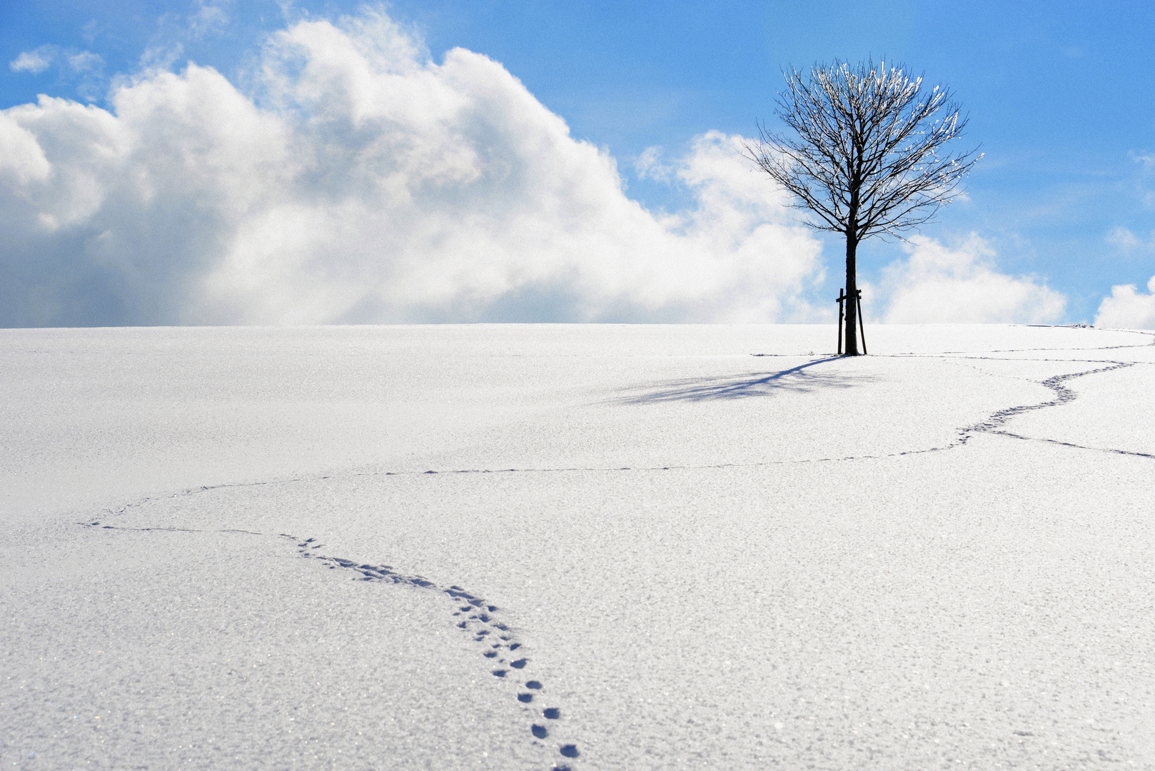 Spuren im Schnee