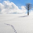 Spuren im Schnee