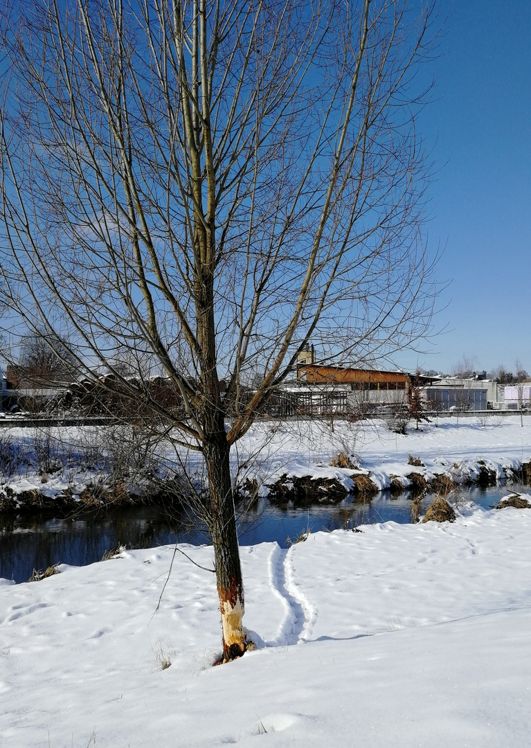 Spuren im Schnee