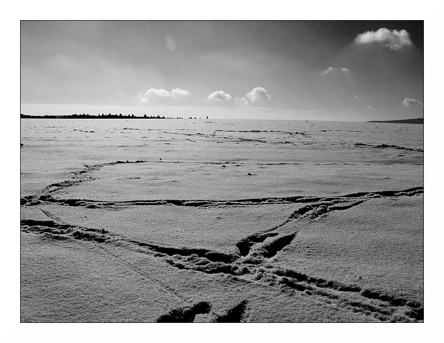 Spuren im Schnee