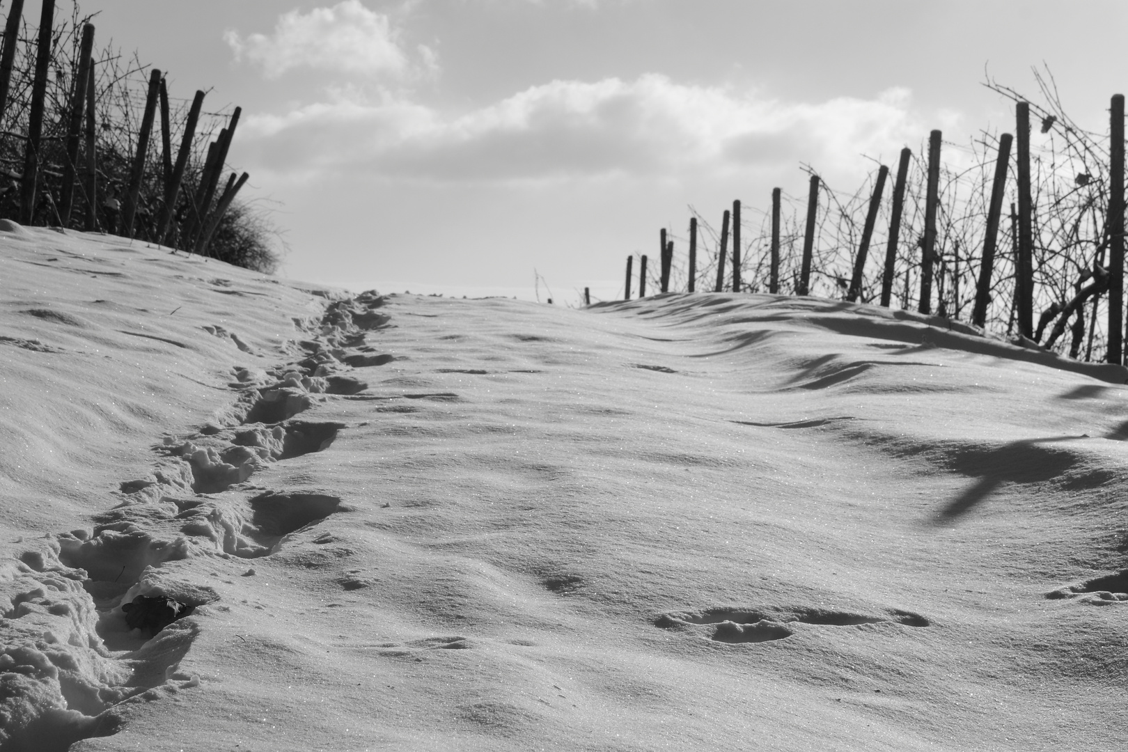 Spuren im Schnee