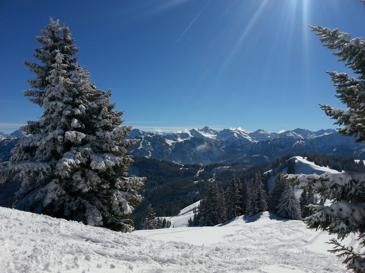 Spuren im Schnee