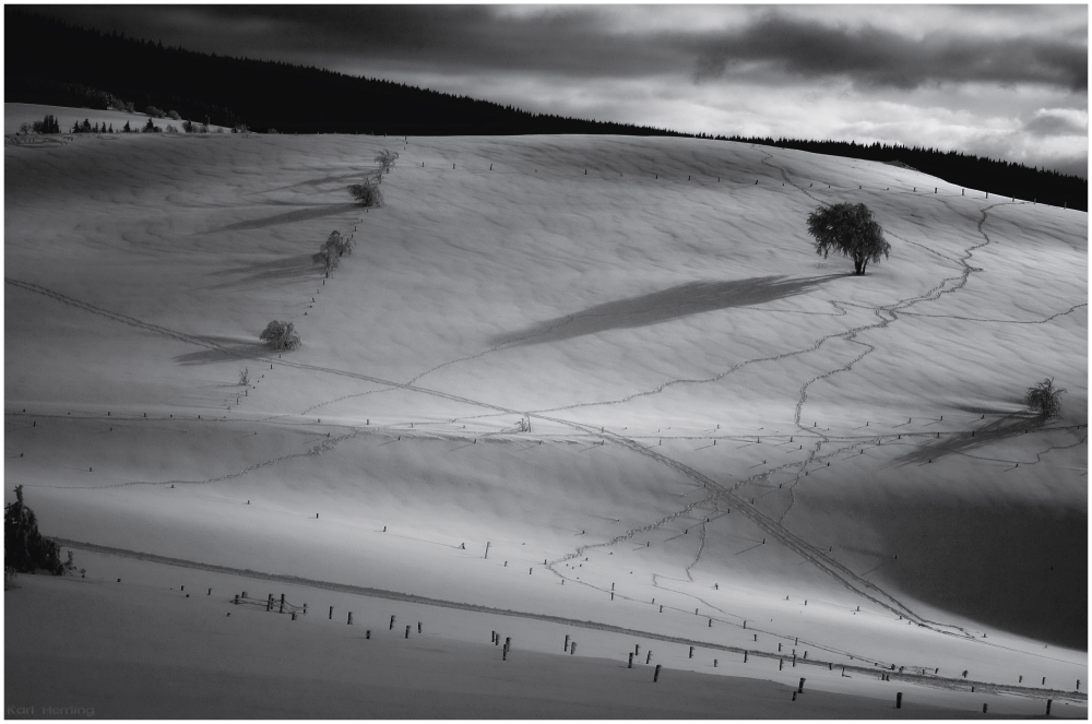 Spuren im Schnee