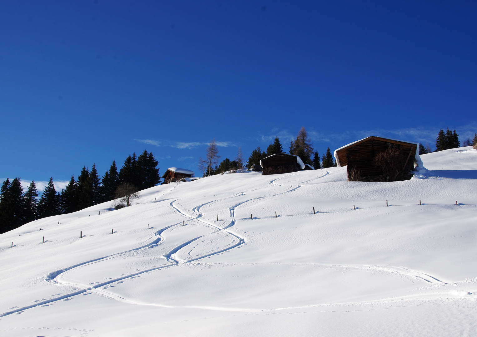 Spuren im Schnee