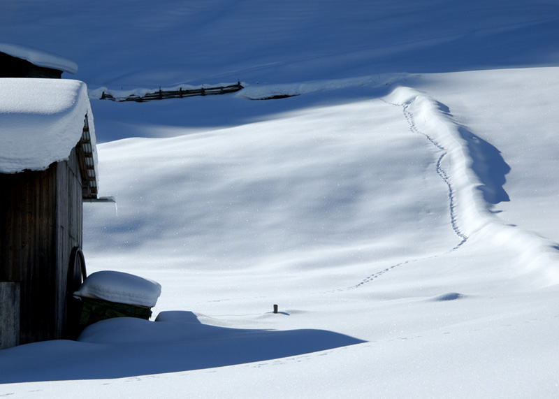 Spuren im Schnee