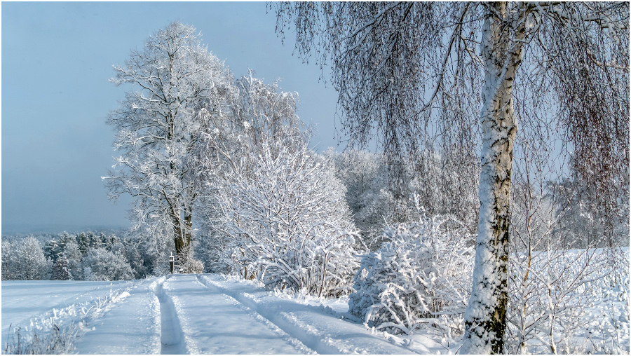 Spuren im Schnee