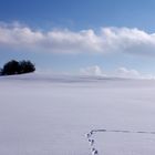 Spuren im Schnee