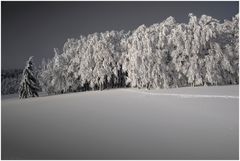 Spuren im Schnee