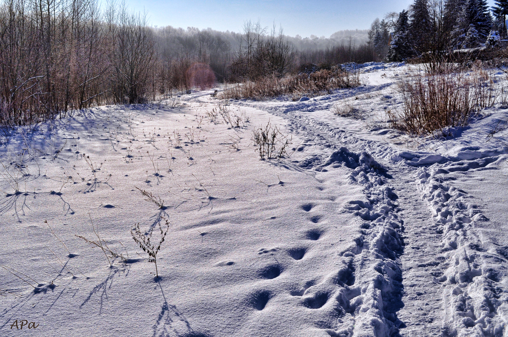 Spuren im Schnee